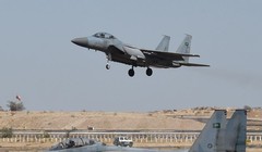 Máy bay tiêm kích F-15 của Nhật Bản. (Nguồn: AFP/TTXVN)