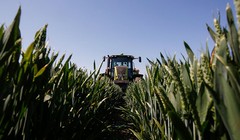 Áp dụng AI sẽ giúp Monsanto rút ngắn thời gian xác định phân tử hiệu quả cao
ẢNH: AFP