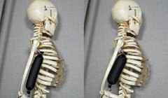 Cơ bắp nhân tạo được sử dụng để nâng cánh tay của bộ xương lên 90 độ. Ảnh: Aslan Miriyev/Columbia Engineering.