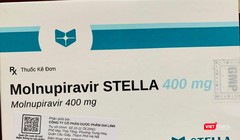 Thuốc Molnupiravir điều trị COVID-19 được Bộ Y tế cấp phép sản xuất trong nước.