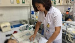 Báo động bệnh ấu trùng giun đũa chó, mèo do thói quen ôm ấp thú cưng