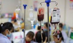 Khoảng 14 triệu người Việt Nam mang gen bệnh tan máu bẩm sinh