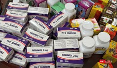 Bộ trưởng Y tế Đào Hồng Lan nói về giải pháp quan trọng để xử lý nạn hàng giả trong y tế