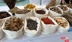 Báo động: Hàng loạt cơ sở dược liệu cổ truyền vi phạm chất lượng