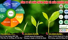 Công ty FAO bị tước quyền chỉ định kiểm nghiệm thực phẩm, buộc thu hồi kết quả đã cấp