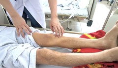 Giun chó mèo “ăn” vào não vì nuôi thú cưng bẩn, ăn uống nguy hiểm