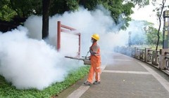 Việt Nam khẩn cấp ứng phó nguy cơ dịch Chikungunya xâm nhập