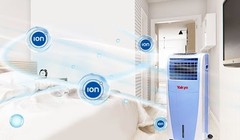 Khả năng làm sạch không khí.