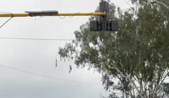 Hotgirl mạng xã hội gặp rắc rối vì nhảy giữa đường để quay video "sống ảo"