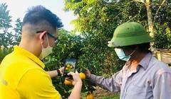 Hàng triệu nông dân học cách kinh doanh trên sàn thương mại điện tử