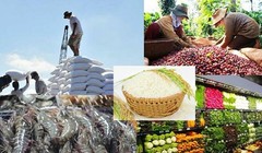 Ứng dụng công nghệ trong thu thập thông tin, dự báo tình hình thị trường nông sản