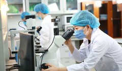 Bộ KH&CN lên kế hoạch phát triển nguồn nhân lực số