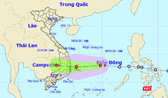 Dự báo đường đi của bão số 12