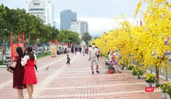 Người dân Đà Nẵng đổ ra đường hoa Bạch Đằng du xuân Nhâm Dần 2022