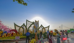 Linh vật mèo tại đường hoa xuân Đà Nẵng