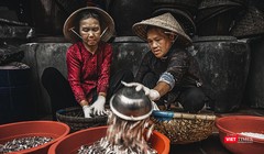 Nghệ nhân làng nghề nước mắm Nam Ô (Đà Nẵng) đong cá chuẩn bị cho mẻ mắm mới