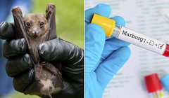 Bệnh Marburg là bệnh đặc biệt nguy hiểm, khả năng lây truyền và tỷ lệ tử vong cao. (Ảnh: tuoitre.vn)