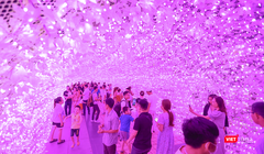 Người dân đổ về không gian ánh sáng kỷ niệm 50 năm thiết lập quan hệ ngoại giao Việt Nam – Nhật Bản tại Đà Nẵng