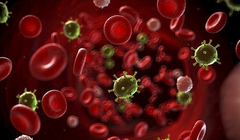 Nhiễm trùng huyết xảy ra khi virus, vi khuẩn, nấm, ký sinh trùng xâm nhập vào máu (ảnh BVCC)