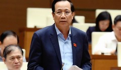 Bộ trưởng Đào Ngọc Dung: Quốc hội nên cho phép thí điểm trao quyền trọn gói cho cấp huyện được chủ động quyết định điều chỉnh cơ cấu nguồn vốn từ các chương trình MTQG - Ảnh: VGP