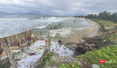 Bờ biển Cửa Đại (Hội An) bị xói lở nghiêm trọng