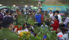 Phiên chợ sâm Ngọc Linh ở Quảng Nam (ảnh CTV)