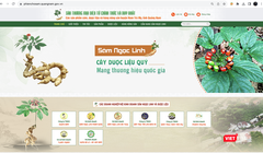 Giao diện sàn thương mại điện tử chuyên quảng bá về sâm Ngọc Linh và các sản phẩm dược liệu, nông sản đặc trưng trên địa bàn tỉnh Quảng Nam
