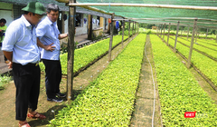 Trung tâm bảo tồn và nuôi trồng dược liệu tại Quảng Nam