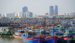 Tàu thuyền của ngư dân vào neo đậu tại âu thuyền Thọ Quang, thành phố Đà Nẵng để tránh bão.