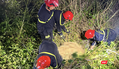 Du khách tử vong sau tai nạn dù lượn trên bán đảo Sơn Trà (Đà Nẵng).