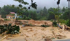 Chính phủ hỗ trợ khẩn cấp 100 tỷ đồng để Đà Nẵng ổn định đời sống người dân sau lũ