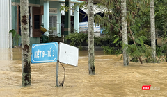 Mưa gây ngập cho 66.813 hộ dân trên địa bàn các xã phường ở Đà Nẵng