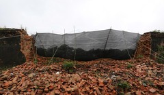 Hiện trường đoạn tường bao Hoàng thành Huế bị sập do mưa lũ. Ảnh PD.