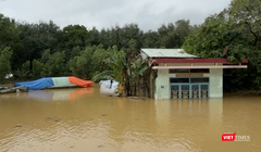 Sáng 17/11, xã Thượng Đức, cùng nhiều xã trên địa bàn TP Đà Nẵng tiếp tục căng mình ứng phó lũ do nước sông Vu Gia lên nhanh bất ngờ.