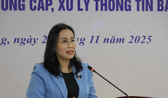 Bà Nguyễn Thị Anh Thi, Phó Chủ tịch UBND TP Đà Nẵng phát biểu tại hội nghị tập huấn “Truyền thông chính sách và kỹ năng phát ngôn, cung cấp, xử lý thông tin cho báo chí năm 2025" do Sở VH-TT&DL TP Đà Nẵng tổ chức diễn ra sáng 27/11. Ảnh Mai Chi.