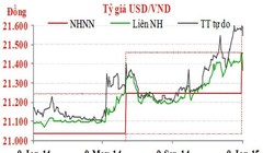 Diễn biến tỷ giá USD/VND trong một năm qua - Nguồn: TNG Holdings Việt Nam.