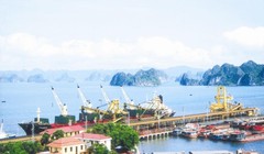 Đến lượt cảng Quảng Ninh được Vinalines rao bán