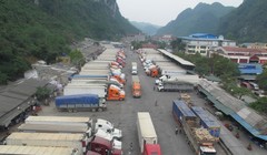 Việt Nam xuất sang Trung Quốc nông sản là chủ yếu