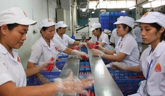 Hợp tác với “tay chơi mới” Hoàng Anh Gia Lai, Vissan sẽ tiếp tục đẩy mạnh chiến lược tiếp cận thị trường bằng chất lượng và vệ sinh an toàn thực phẩm   