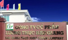 Khởi tố, bắt giam Tổng giám đốc Công ty CP lương thực Hậu Giang