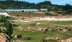 Nhiều dự án tỷ đô đã bị thu hồi, hoặc bỏ hoang, chậm triển khai, khiến dư luận bức bối.