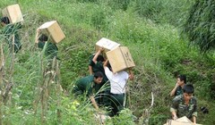 Buôn lậu qua đường tiểu ngạch ở biên giới hết sức phức tạp