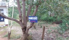 Cơn sốt đất tại Phú Quốc đang nóng lên từng ngày