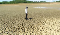 Việt Nam đang trải qua đợt hạn mặn nghiêm trọng chưa tưng có trong một thế kỷ qua