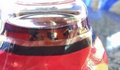 Chai nước Dr Thanh có ruồi còn hạn sử dụng (Ảnh: Người Lao Động).