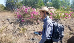 Các chuyên viên chia thành nhiều hướng để tìm kiếm suốt nhiều giờ. Ảnh: Xuân Mai