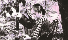 Bóng hồng Việt Nam - trên cả anh hùng - (phần 2)