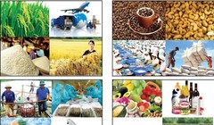 Trung Quốc có 7845 dòng thuế cắt giảm về 0%, chiếm tỷ lệ 95,35% tổng số dòng thuế và chiếm 91,59% tổng kim ngạch nhập khẩu từ Việt Nam. Ảnh minh hoạ 