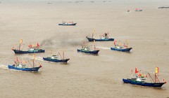 Các tàu cá Trung Quốc, bao gồm tàu của dân quân biển, hoạt động trên biển Hoa Đông - Ảnh: AFP