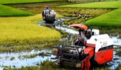 Vay vốn ODA: Việt Nam học được gì từ Trung Quốc, Malaysia?